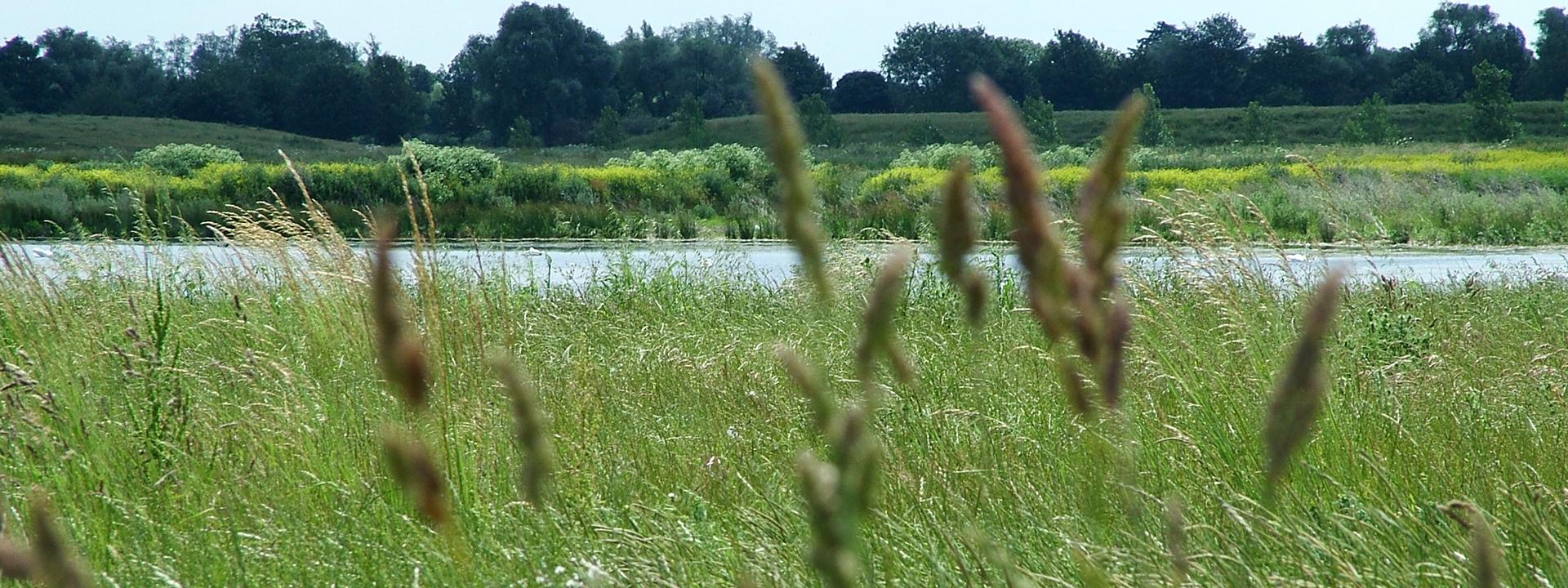 Biodiversity and site stewardship. 
