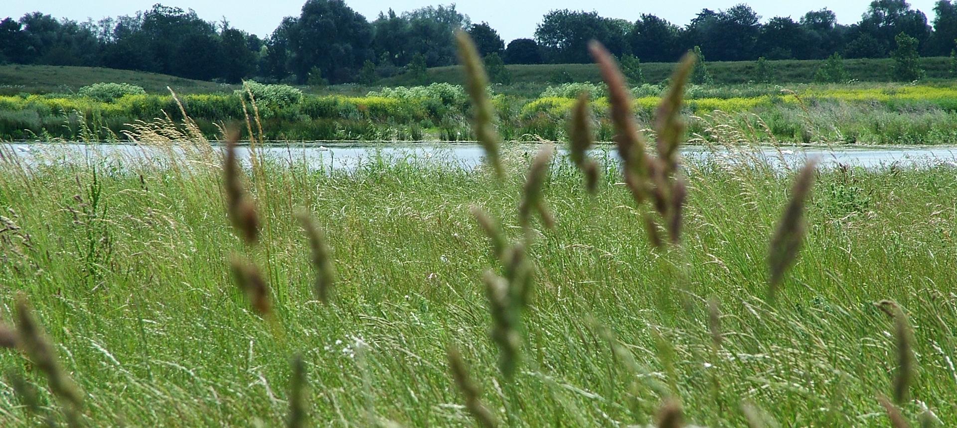 Biodiversity and site stewardship. 
