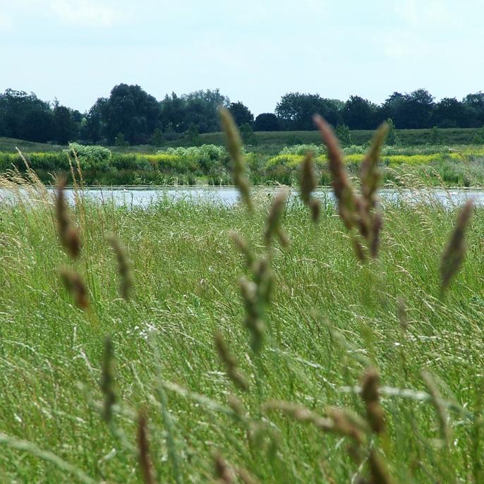 Biodiversity and site stewardship. 